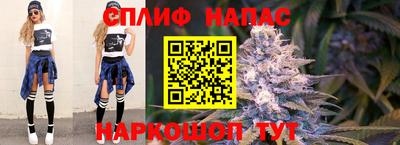 сатива Кунгур