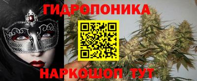 сатива Кунгур