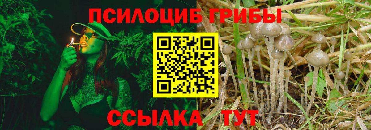 Псилоцибиновые грибы Magic Shrooms Железногорск